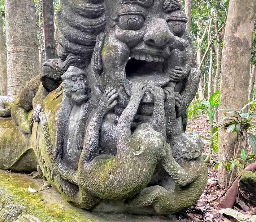 statut de singe dans la monkey forest à Bali