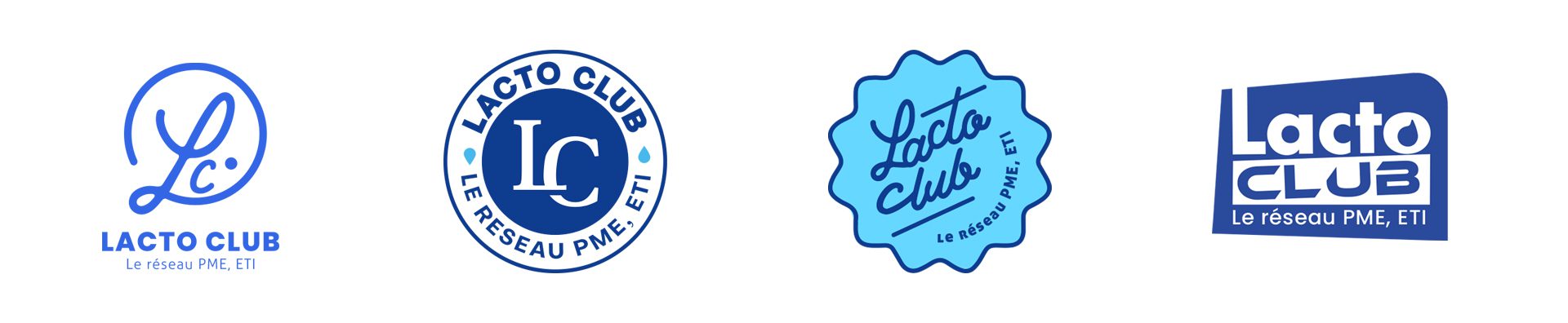 Sélection de plusieurs logos pour présenter au client les étapes pour créer un logo professionnel