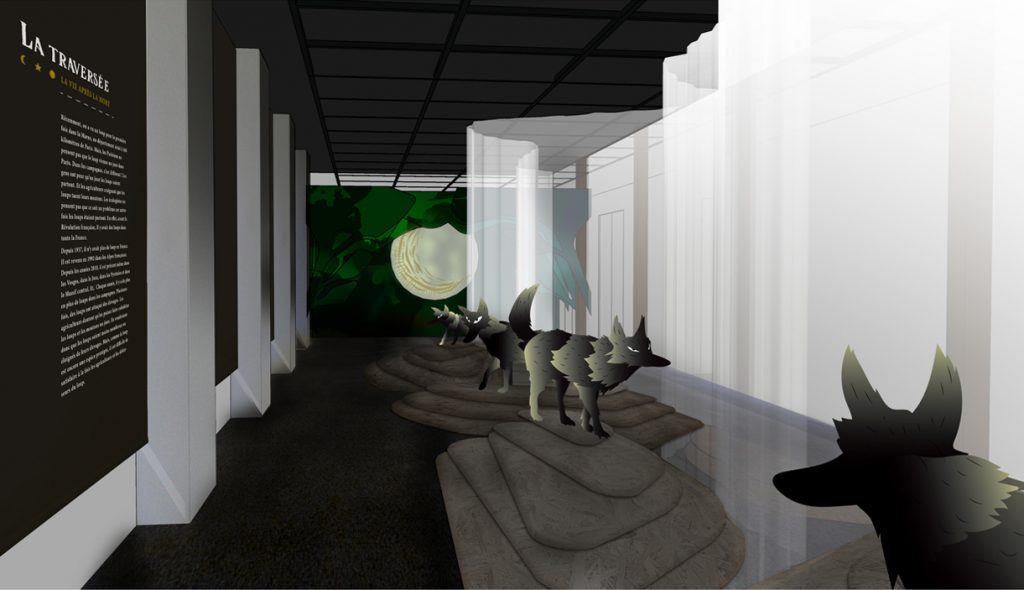 scénographie et illustration institutions culturelles pour l'exposition du musée sur le loups