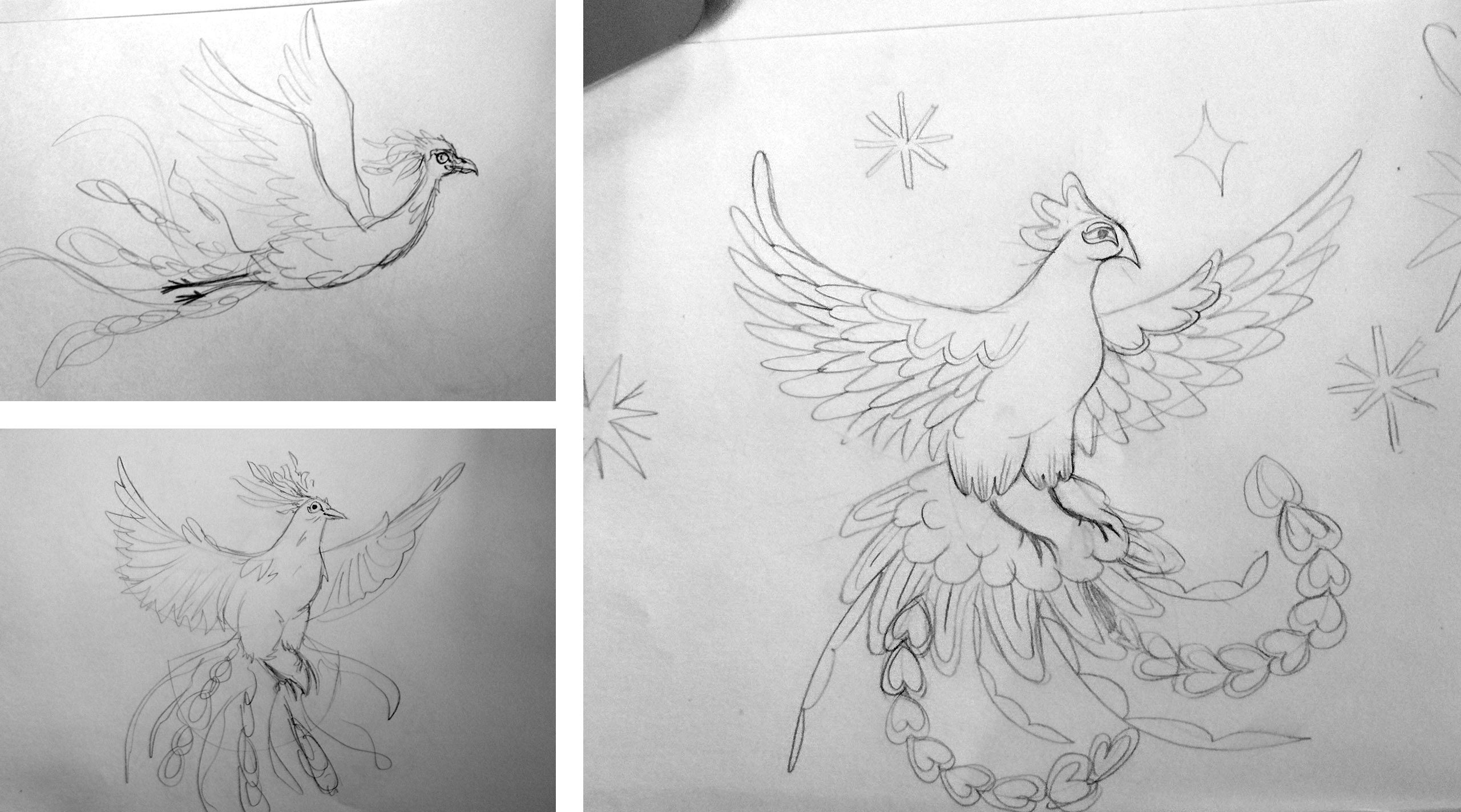 Différents croquis de la piste de l'oiseau pour l'affiche illustré de l'oiseau